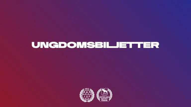 Thumbnail Ungdomsbiljetter 2025 MB